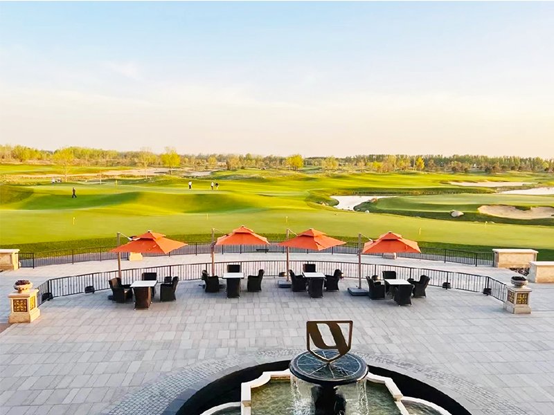 ����ʿ�߶�����ֲ�