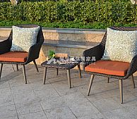 ������CA1355