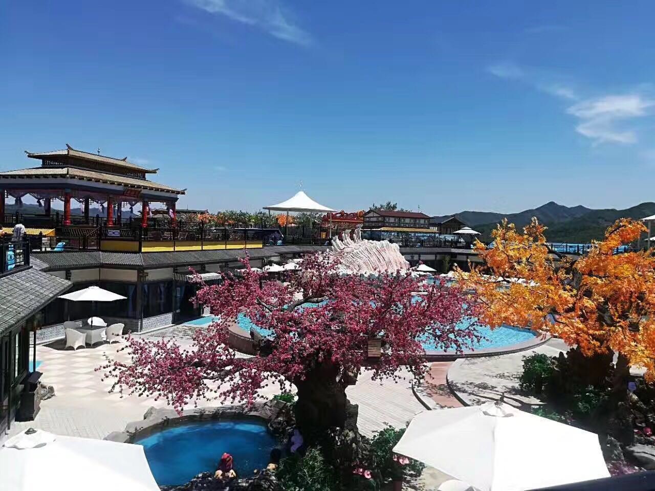 ����Ӿ������˽�˶���