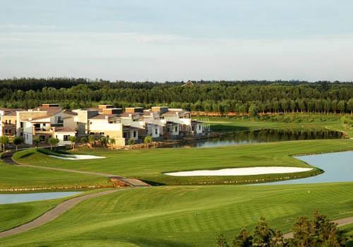 �߼������̵��������ٱ�����